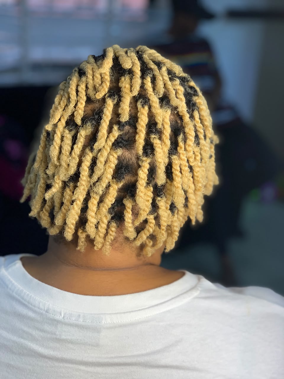 Natural Hair Care & Twists
